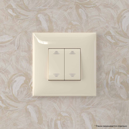 Переключатель двухклавишный в стену, "Avanti", "Ванильная дымка" DKC