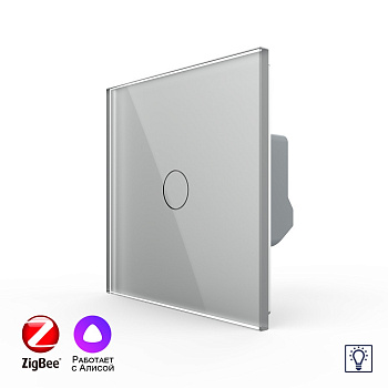 Одноклавишный умный сенсорный диммер Livolo ZigBee, 1 пост, Серый VL-C701D2Z-2IG