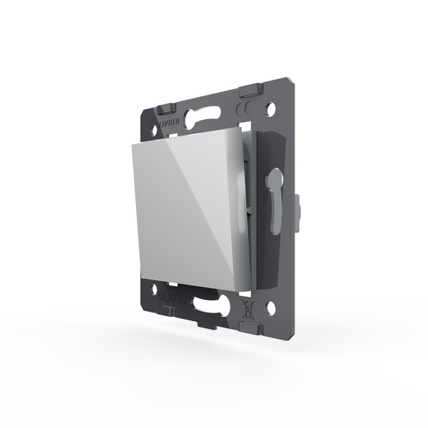 Одноклавишный механический выключатель, цвет серый (механизм) Livolo