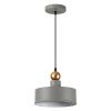 Подвес Е27 1*40W BOLLI серый/золотой ODEON LIGHT
