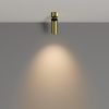 Потолочный светильник LED 12Вт Латунь IP20 Ceiling & Wall C055CL-L12W3K-W-BS Technical Maytoni