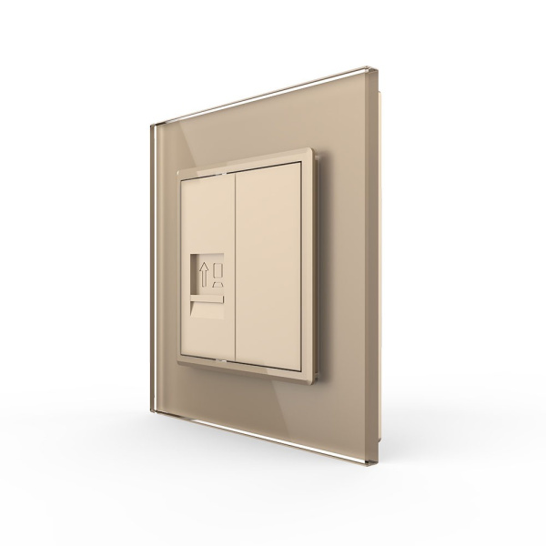 Розетка КОМП RJ-45 Золотая Livolo