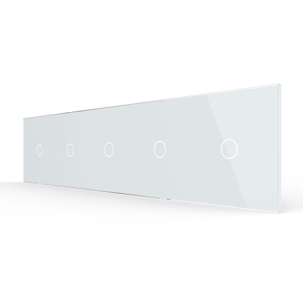 Панель для пяти однолинейных выключателей: 1 + 1 + 1 + 1 + 1 Белая Livolo