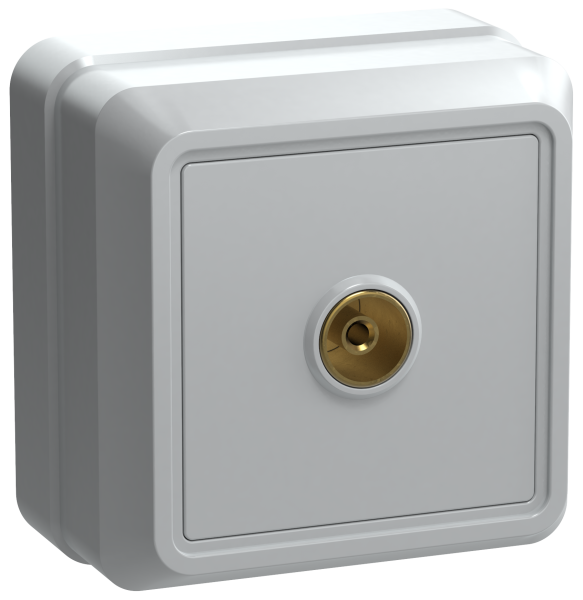 Розетка 1-местная ОУ телевизионная РТВ20-ОБ ОКТАВА белый IEK