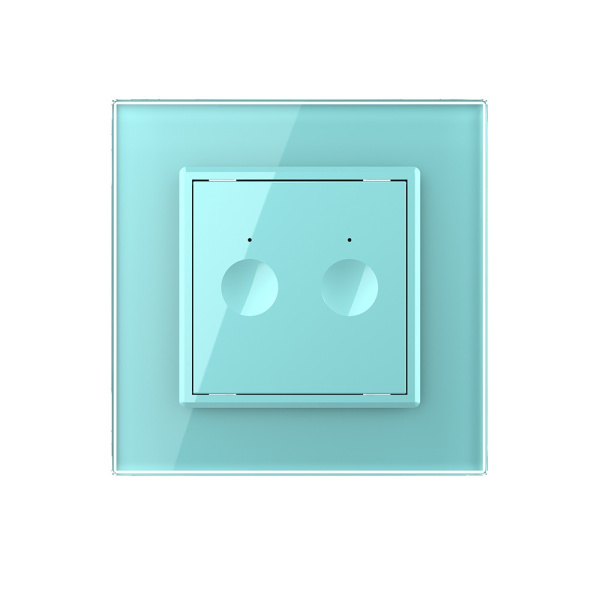 Двухклавишный сенсорный выключатель Module, цвет зеленый Livolo