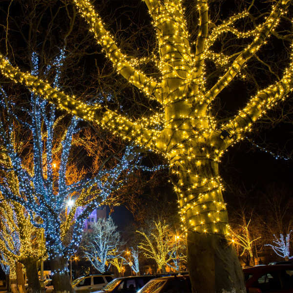 Гирлянда нить 20м IP65 (400-102 белый) Eurosvet Гирлянда нить 20м IP65 (400-102 белый) Eurosvet