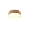 Потолочный светильник LED 24Вт Матовое Золото IP20 Ceiling & Wall C032CL-24W3K-RD-MG Technical Maytoni