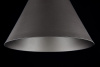 Подвесной светильник 1*E27 60Вт Черный IP20 Bicones P359-PL-220-C Maytoni
