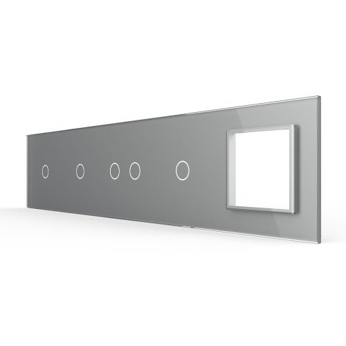 Панель для 4-х сенсорных выключателей и розетки, 5 клавиш (1+1+2+1), цвет серый, стекло Livolo