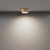 Потолочный светильник LED 12Вт Матовое Золото IP20 Ceiling & Wall C032CL-12W4K-RD-MG Technical Maytoni