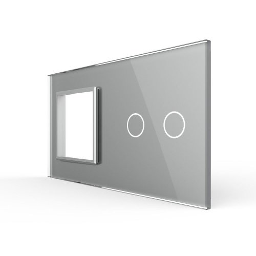 Панель для розетки и сенсорного выключателя, 2 клавиши, цвет серый, стекло Livolo