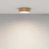 Потолочный светильник LED 24Вт Матовое Золото IP20 Ceiling & Wall C032CL-24W4K-RD-MG Technical Maytoni
