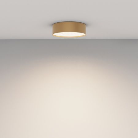 Потолочный светильник LED 24Вт Матовое Золото IP20 Ceiling & Wall C032CL-24W4K-RD-MG Technical Maytoni