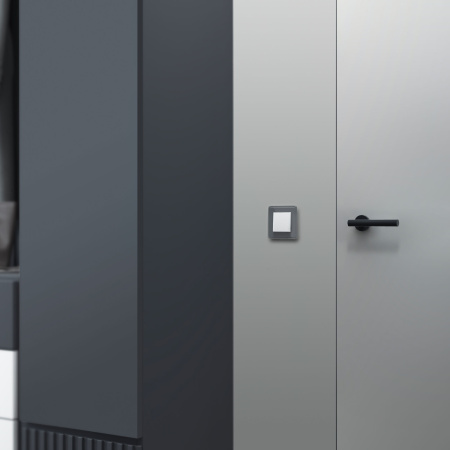 Elite Рамка из стекла на 1 пост графит Werkel