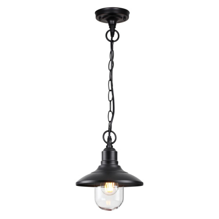 Ландшафтный подвес E27 1*60W IP44 CAMPA черный/стекло ODEON LIGHT Ландшафтный подвес E27 1*60W IP44 CAMPA черный/стекло ODEON LIGHT