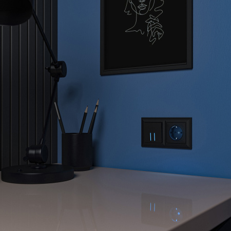 Розетка с подсветкой (черный) СУ IP20 Werkel