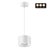 Св-к накл.с перекл.цв.темп.,пров.2м IP20 LED 3000К/4000К/6000К 12W вниз+3W вверх белый GIRO NOVOTECH