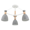 Потолочный светильник 3*E27 60Вт Белый IP20 Delia FR5033CL-03W Freya