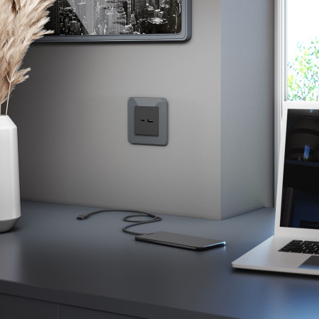 Elite Рамка из стекла на 1 пост графит Werkel