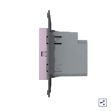 Двухклавишный проходной сенсорный выключатель Module, цвет розовый (механизм) Livolo