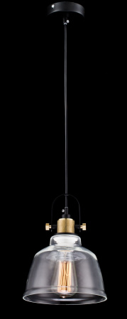 Подвесной светильник 1*E27 40Вт Черный IP20 Irving T163-11-W Maytoni