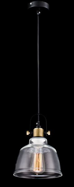 Подвесной светильник 1*E27 40Вт Черный IP20 Irving T163-11-W Maytoni