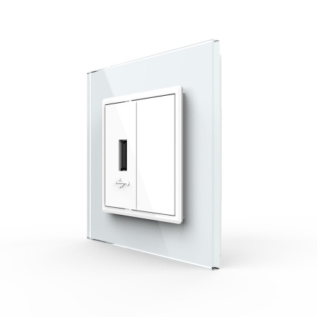 Розетка USB с блоком 5В 2.1А Белая Livolo
