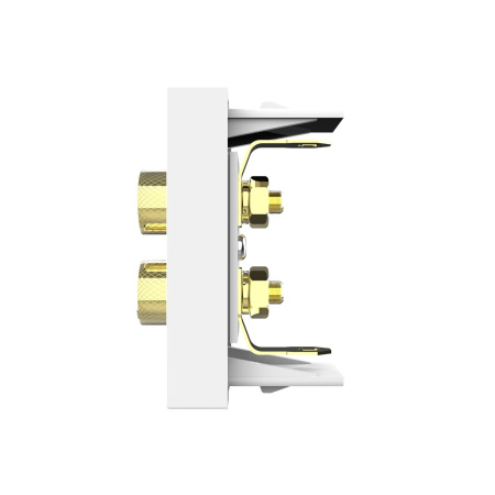 Розетка акустическая белая (механизм) Livolo