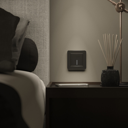 Platinum Рамка на 1 пост черный алюминий Werkel