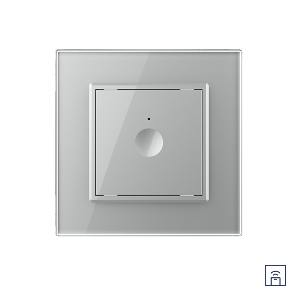 Одноклавишный сенсорный выключатель Module с функцией радиоуправления, цвет серый Livolo