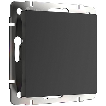 Заглушка (черный матовый) СУ IP20 Werkel