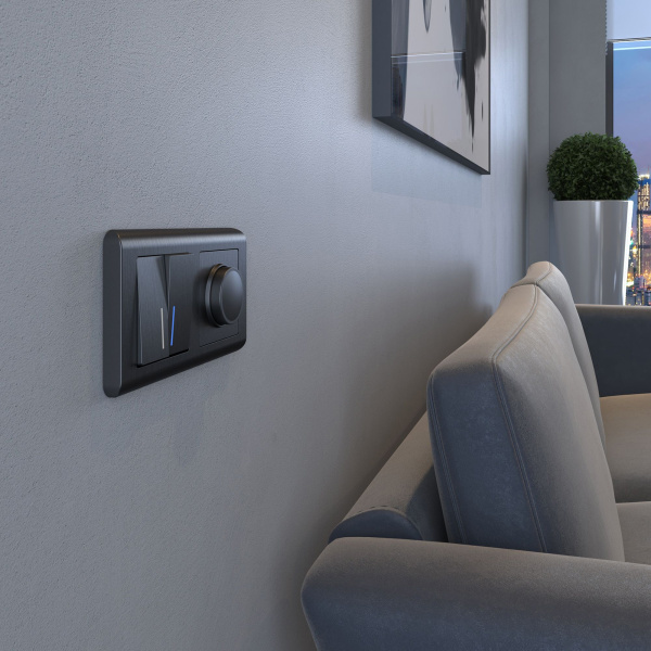 Диммер (графит рифленый) СУ IP20 Werkel