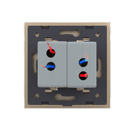 Розетка USB с блоком 5В 2.1А двойная Золотая Livolo