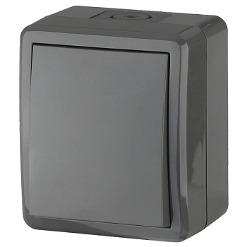 Переключатель IP54, 10АХ-250В, ОУ, Эра Эксперт, серый,11-1403-03 ЭРА