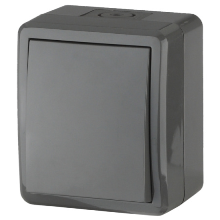 Переключатель IP54, 10АХ-250В, ОУ, Эра Эксперт, серый,11-1403-03 ЭРА