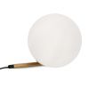 Настольный светильник 1*E14 40Вт Латунь IP20 Blossom FR5259TL-01BS Freya
