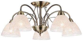 Люстра потолочная Бронза/Прозрачный с рисунком E14 5*60Вт 352-507-05 VELANTE