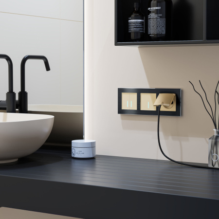 Сенсорный выключатель одноклавишный с подсветкой 1000 Вт (шампань) СУ IP20 Werkel