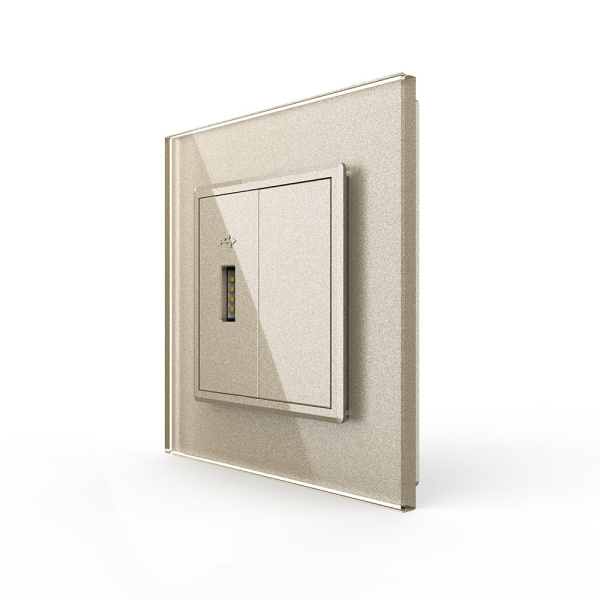 Розетка с одним USB type-A, блоком питания 5В 2.1А 1 пост, цвет шампань Livolo