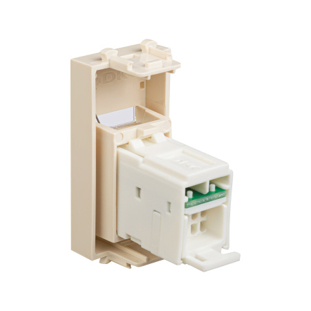 Компьютерная розетка RJ-45 модульная, кат.6, "Avanti", "Ванильная дымка", 1 модуль DKC