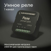 Умное одноканальное реле 2300Вт черный IP20 (a059324) Elektrostandard