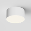Потолочный светильник LED 12Вт Белый IP20 Ceiling & Wall C032CL-12W4K-RD-W Technical Maytoni