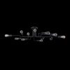 Потолочный светильник 12*E27 60Вт Черный IP20 Gilbert T532CL-12B Maytoni