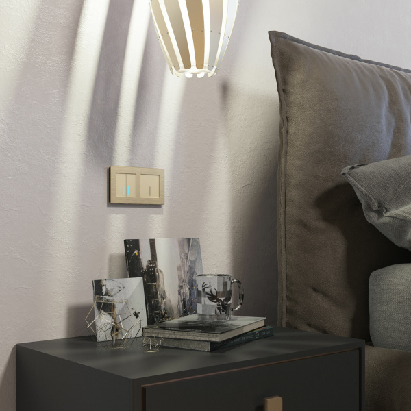 Сенсорный выключатель двухклавишный с подсветкой 1000 Вт (шампань) СУ IP20 Werkel