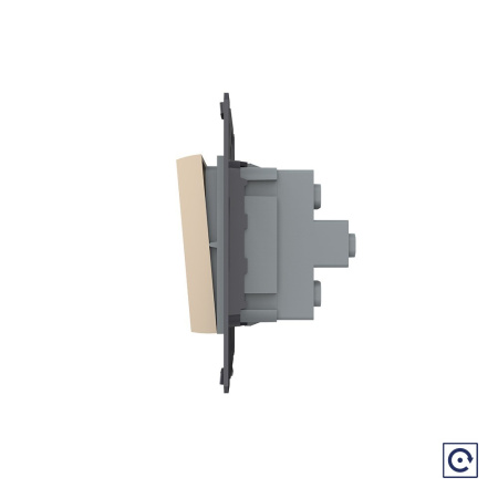 Двухклавишная механическая кнопка (звонок), цвет золотой (механизм) Livolo