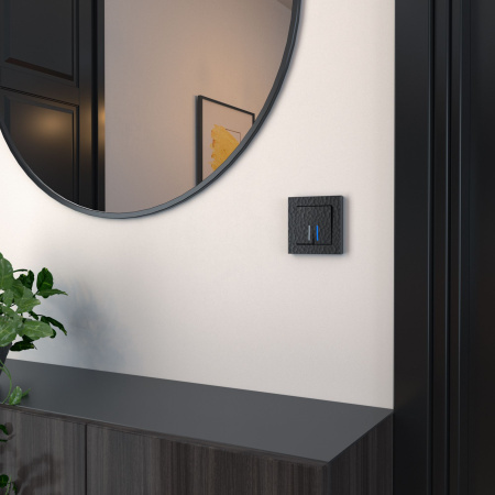 Hammer Механизм выключателя СУ 2 кл. с подсветкой 10А Черный IP20 Werkel