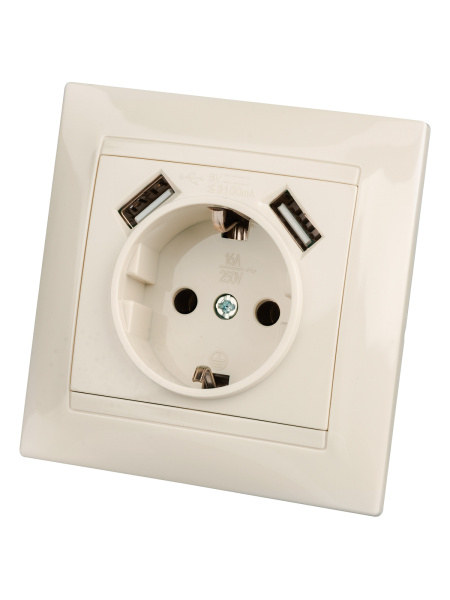 Розетка 2П+З 16А 250В + 2 USB порта 2,1А 5В сл.кость "Лама" TDM