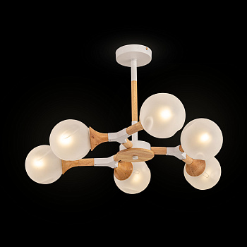 Потолочный светильник 6*E27 60Вт Белый IP20 Amy FR5105CL-06W Freya