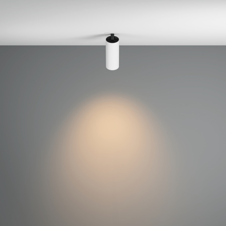 Потолочный светильник LED 12Вт Белый IP20 Ceiling & Wall C053CL-L12W3K-W-W Technical Maytoni
