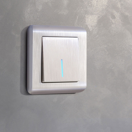 Встраиваемые механизмы Выключатель СУ 1 кл. с подсветкой 10А перламутр рифленый IP20 Werkel